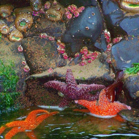 Welcome! Bookmark My Closet! - Picture 8 of 8